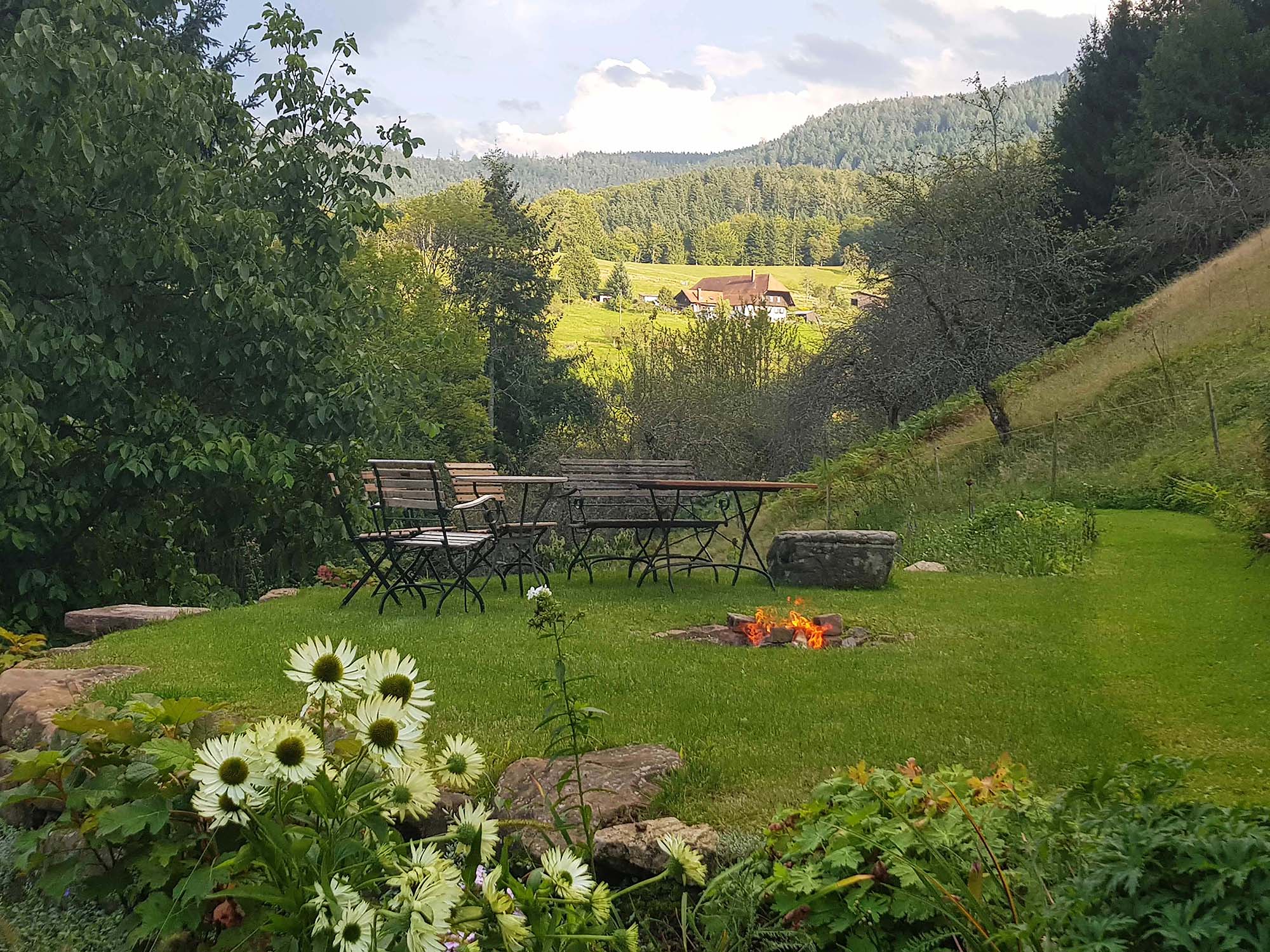 2022-6-14-NO-bia-Holzhackhof-und-Grillplatz