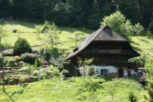 2022-6-14-NO-bia-Holzhackhof-und-Holzhackhof Totale