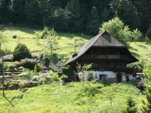 Holzhack-Hof lädt zum »Tag der offenen Tür« ein