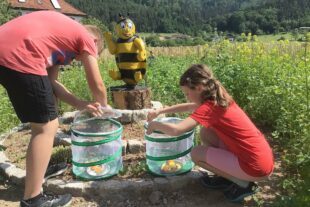 2022-6-17-BI-Rainer Schätzle-Grundschule BI-Besuch Bienengarten-Image