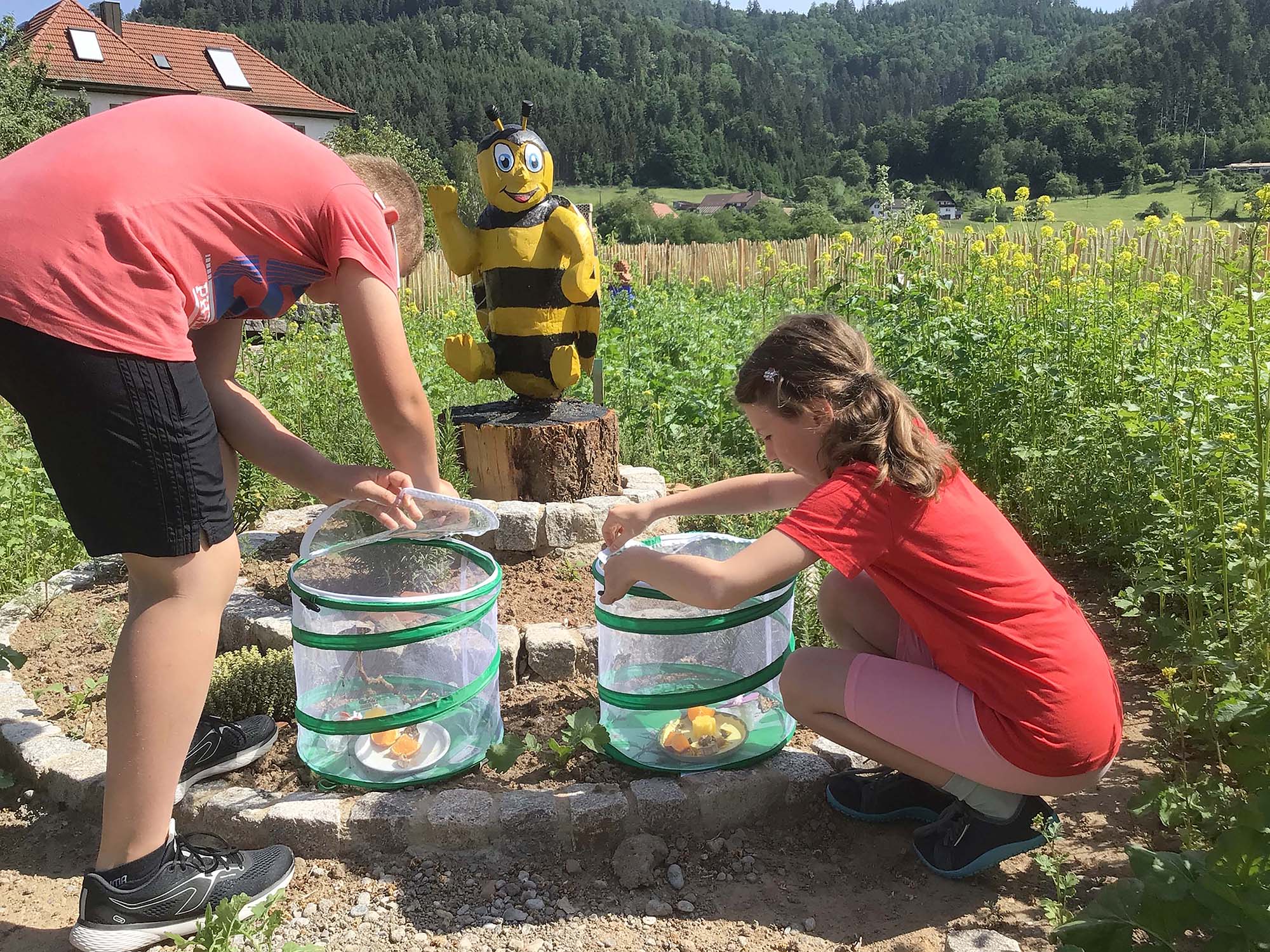 2022-6-17-BI-Rainer Schätzle-Grundschule BI-Besuch Bienengarten-Image