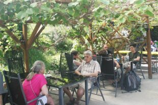 2022-6-20-NO-bia-Brennhislitag-und-Terrasse Kiwiblätter Heidenbühlhof