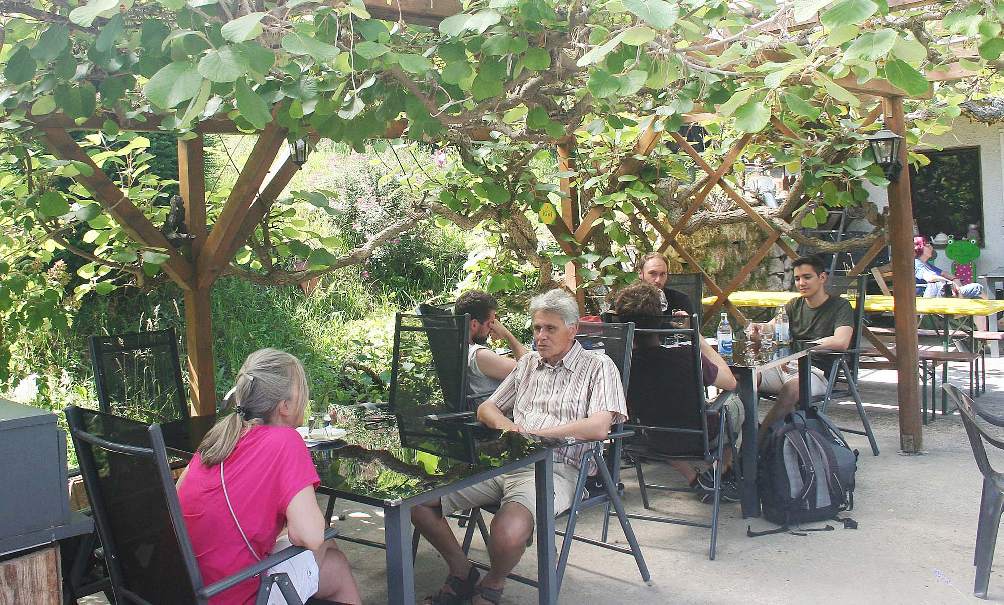 2022-6-20-NO-bia-Brennhislitag-und-Terrasse Kiwiblätter Heidenbühlhof