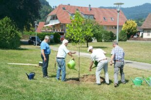 2022-6-22-BI-Barbara Martin-Besuch aus Rositz-Thüringen-20220619_111744