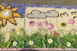 2022-6-22-BI-PB-Thomas Leopold-Fronleichnam-1. Blumenteppich Kommunionkinder