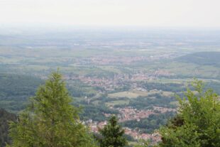 2022-6-22-OH-Rita Schilli-Forum Älterwerden-Senioren-Halbtagesausflug Odilienberg-IMG_9112