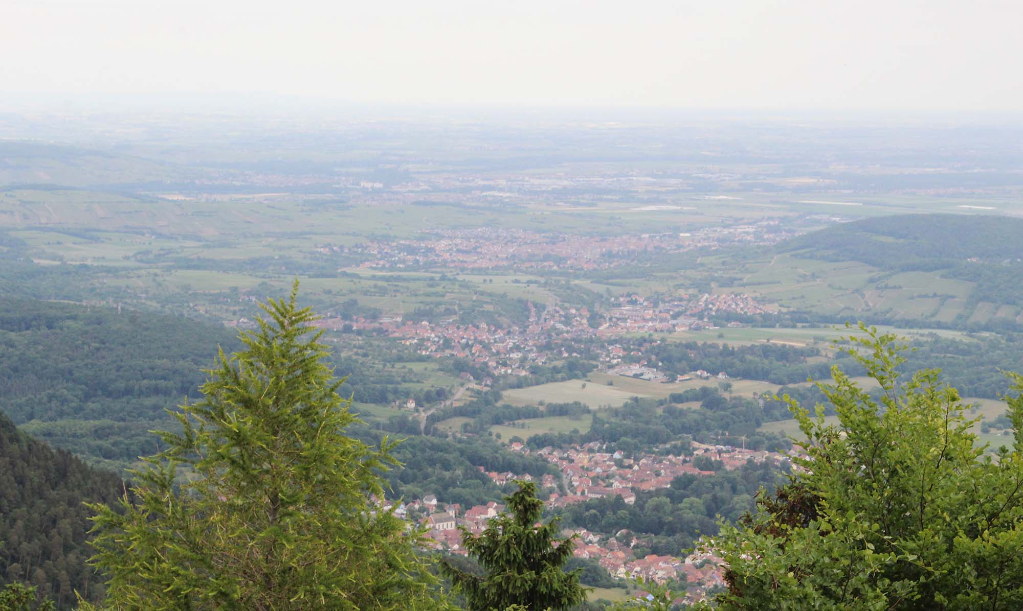 2022-6-22-OH-Rita Schilli-Forum Älterwerden-Senioren-Halbtagesausflug Odilienberg-IMG_9112