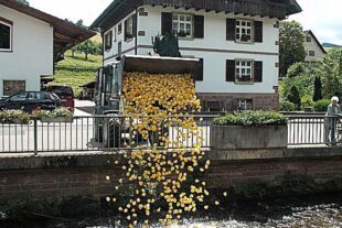 2022-6-29-OH-VdK-Entenrennen-l-00164324F1467038319