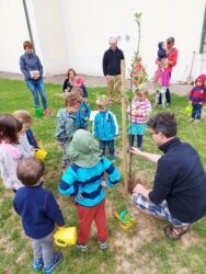 Kinderkirche pflanzt einen Apfelbaum