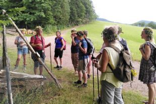 2022-7-1-OH-Oliver Heizmann-SWV OH-Sonnenwendwanderung SWV Oberharmersbach_1