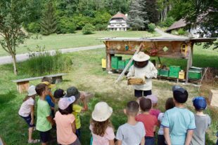 Kinder lernen, wie Bienen Honig machen und für Obst und Gemüse im Garten sorgen