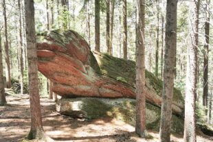 2022-7-18-ZE-UH-Iris Bruer-WuF-Wanderung Odilienberg im Elsaß-IMG_20220710_134748_resized_20220714_094021150