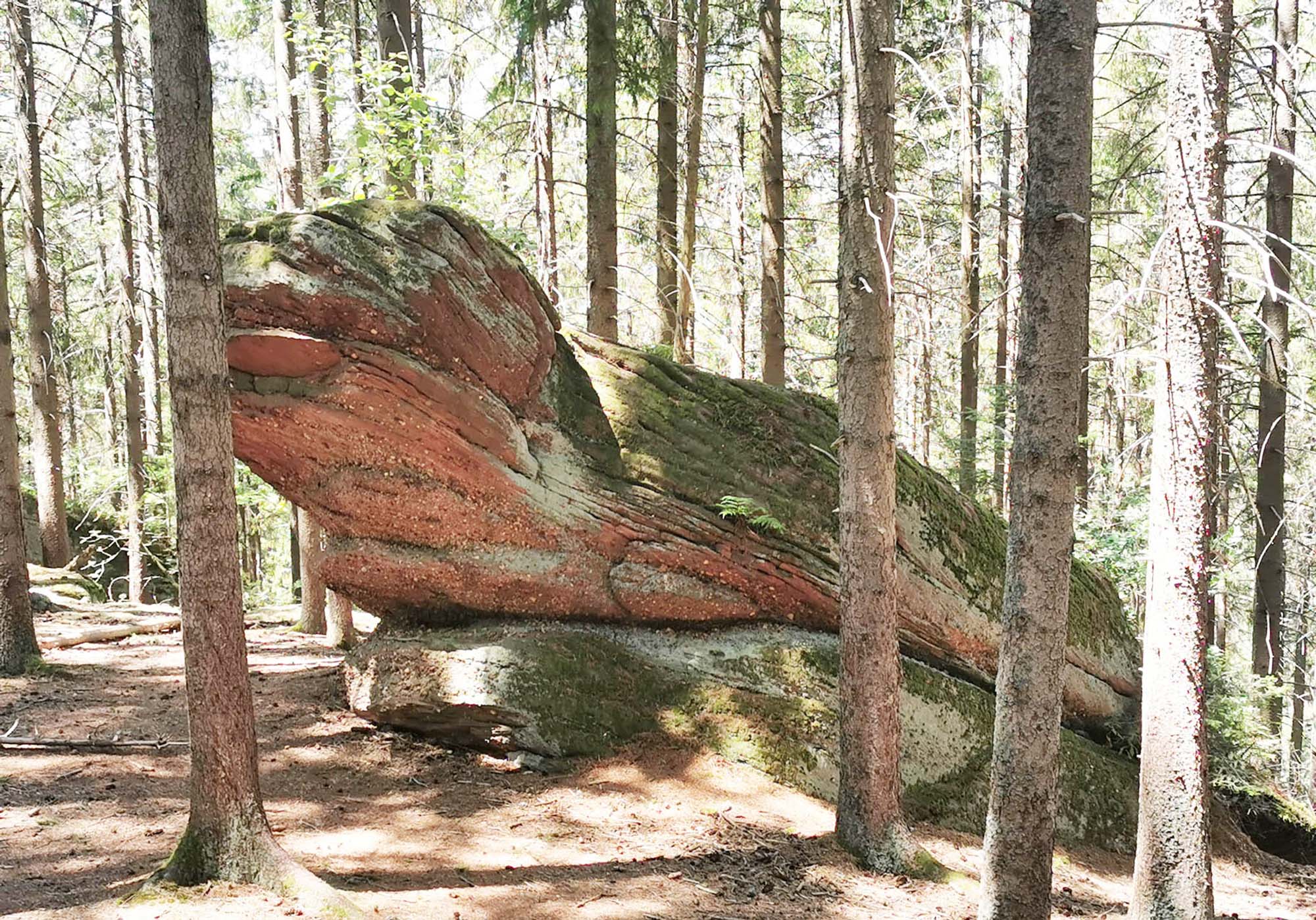 2022-7-18-ZE-UH-Iris Bruer-WuF-Wanderung Odilienberg im Elsaß-IMG_20220710_134748_resized_20220714_094021150