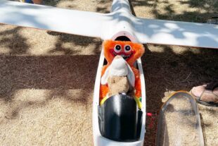 2022-7-22-BI- sp- Kuscheltierfliegen IMG_1914