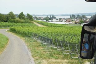 2022-7-27-NO-hv- Altenwerk Reichenau DSC_1071