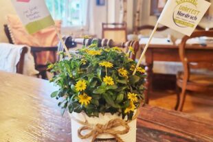 2022-7-6-NO-Gemeinde-Willkommen - die Trischdeko steht schon!