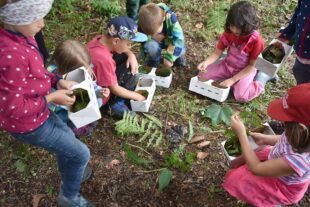 2022-7-6-NO-Kita St. Ulrich-Schulfüchse erlebten aufregende Waldwoche-Bild 1