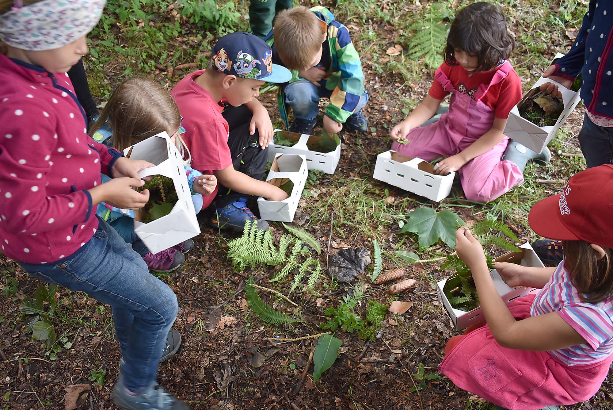 2022-7-6-NO-Kita St. Ulrich-Schulfüchse erlebten aufregende Waldwoche-Bild 1