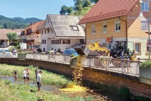 2022-7-6-OH-Dietmar Hug- Entenrennen1