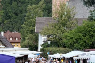 2019-9-2-OH-kal-Liwi Oberharmersbach 2019