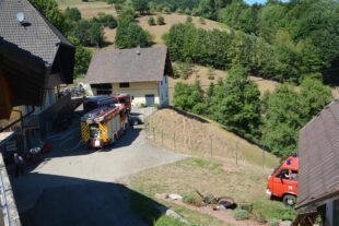 2022-8-12-NO-hps-Feuerwehr Flächenbrand-DSC_6873 2