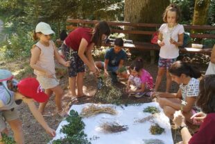 2022-8-15-OH-privat-DJK-Kräuterbüschel-Welche Kräuter kenne ich und wie riechen sie