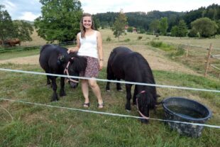 2022-8-15-ZE-UH-bia-Ann-Kathrin-Schmider-+ SP Pony bemalt + Kühe