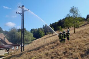 2022-8-17-NO-Feuerwehr-Brand-IMG-20220815-WA0006