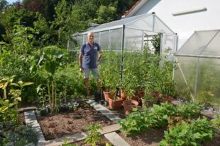 2022 ist ein super Tomatenjahr