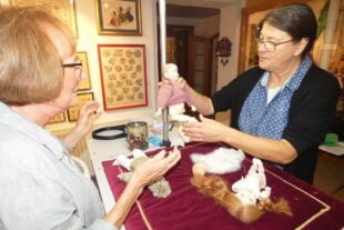 2022-8-22-NO-bia-Puppendoktor-und-Patientenannahme