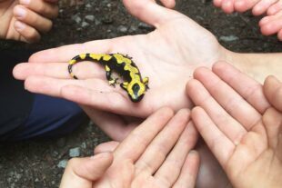 2022-8-24-BI-privat-Hilfe von Haus zu Haus-Ferienprogramm-IMG_2860