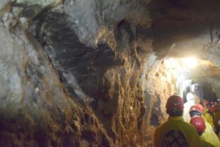 2022-8-31-NO-Oberwolfach-hv-Historische Verein-Sommerferienprogramm- Grube Wenzel-DSC_1159