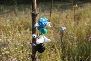 2022-8-5-ZE-hpw-Zeller Werkrealschule zauberten eine Blumenwiese in den Friedhof-2