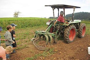 2022-9-21-OH-privat-Kindergarten Kartoffelernte-IMG_1790