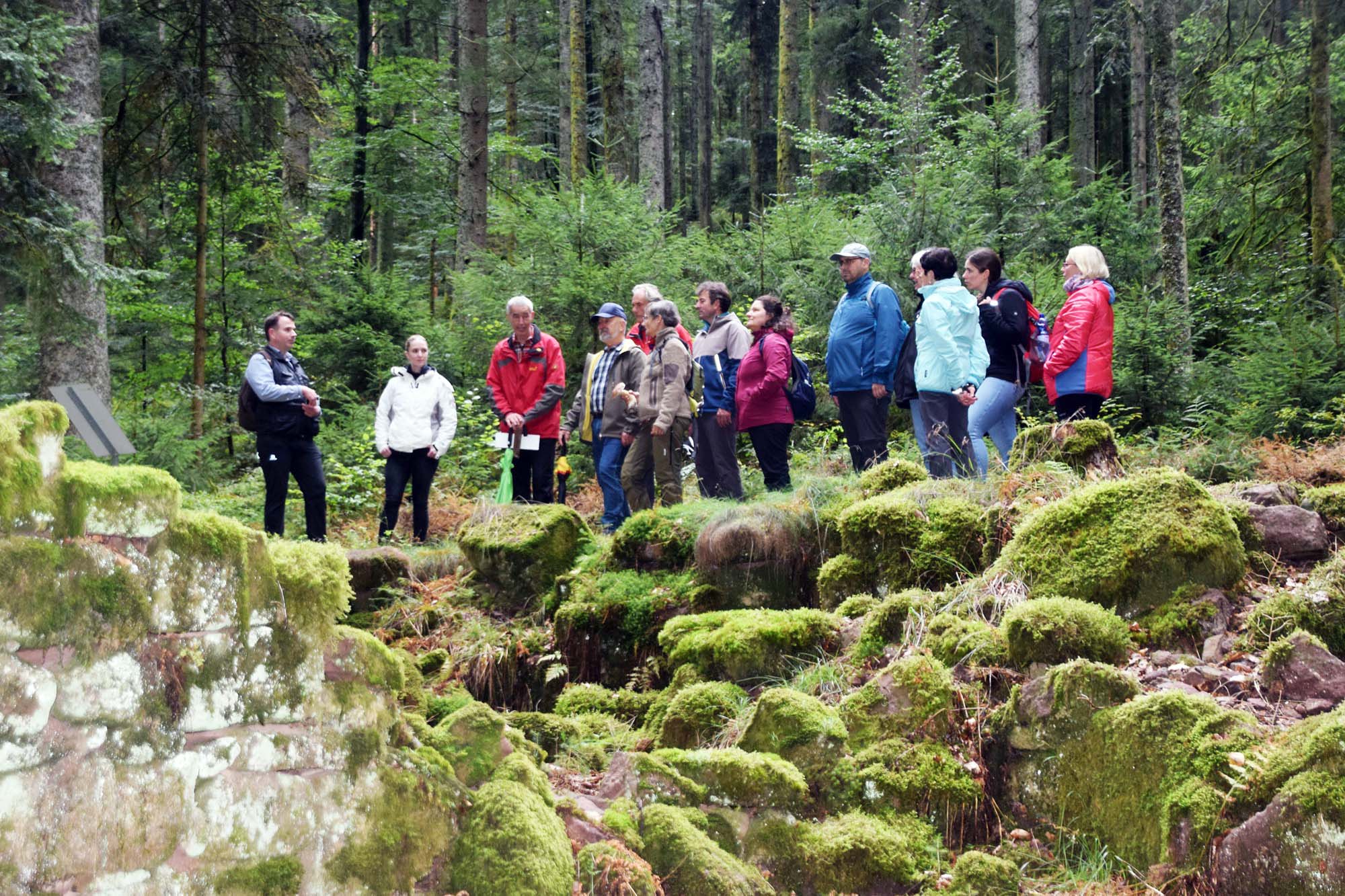 2022-9-23-NO-hv- Wanderung Höhenhöfe DSC_1265