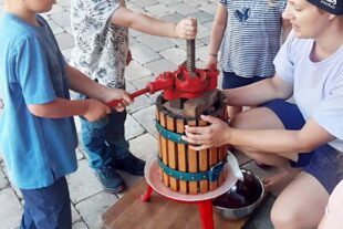 2022-10-12-BI-Sabrina Wiedmer-Naturkindergarten Biberach-Bauernhoftage-IMG_3278