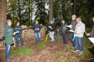 Diskussionsbedarf über Projekte im Gemeindewald