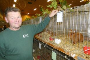 2022-10-31-BI-bia-Kleintierschau-+ SP Hubert Schmieder