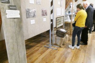 2022-10-4-BI-bia-800 Jahre Biberach-und-SP Doppelhalsgeige hoch (2)