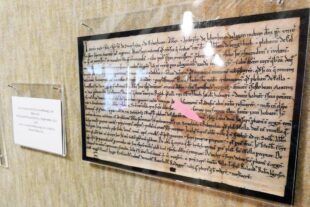 2022-10-4-BI-bia-800 Jahre Biberach-und-SP Urkunde 1222 (2)