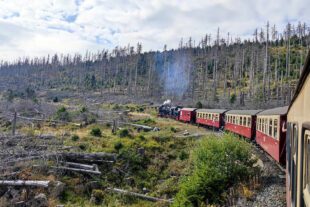 2022-10-4-OH-rs- Seniorenferien im Harz WhatsApp Image 2022-09-26 at 16.23.44 (5)