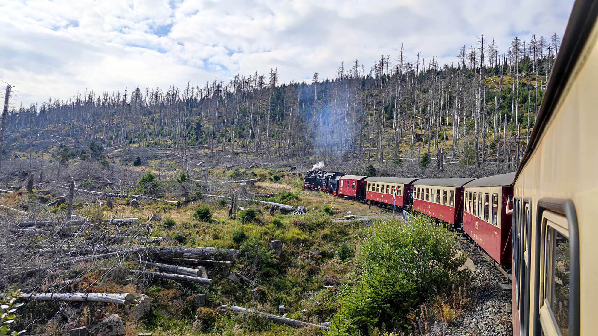 2022-10-4-OH-rs- Seniorenferien im Harz WhatsApp Image 2022-09-26 at 16.23.44 (5)
