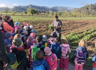 Suche nach dem Kartoffelkönig