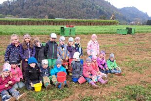 2022-11-11-ZE-UE-privat-Kindergarten-Karottenernte 22