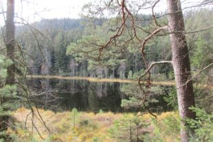 2022-11-4-OH-fh- SWV Rund um die SchwarzenbachtalsperreRund um die SchwarzenbachtalsperreB05