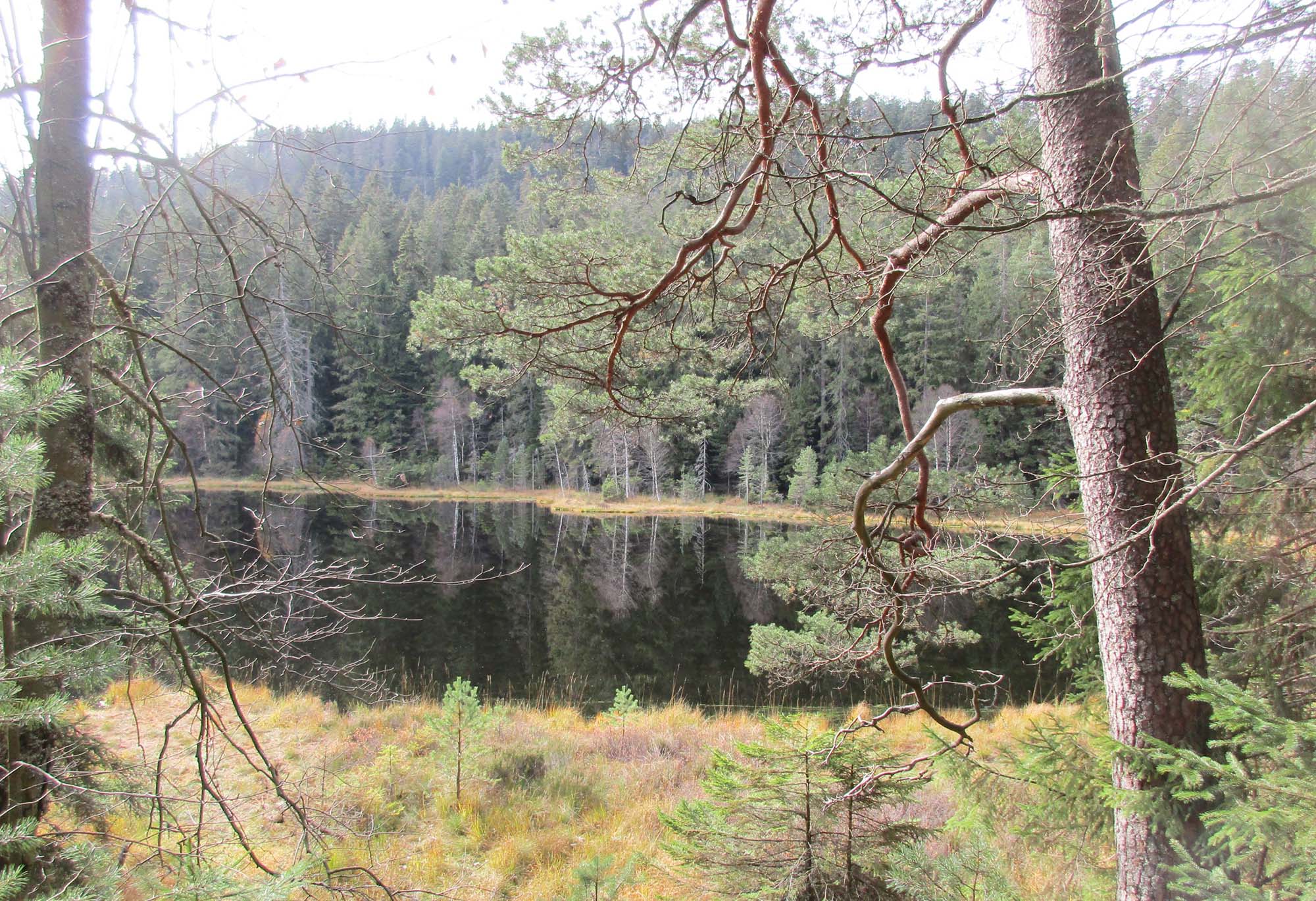 2022-11-4-OH-fh- SWV Rund um die SchwarzenbachtalsperreRund um die SchwarzenbachtalsperreB05