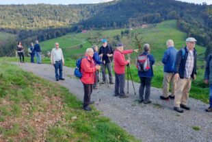 2022-11-7-NO-Luitgard Bieser- DAV Seniorenwanderung November 2022_05