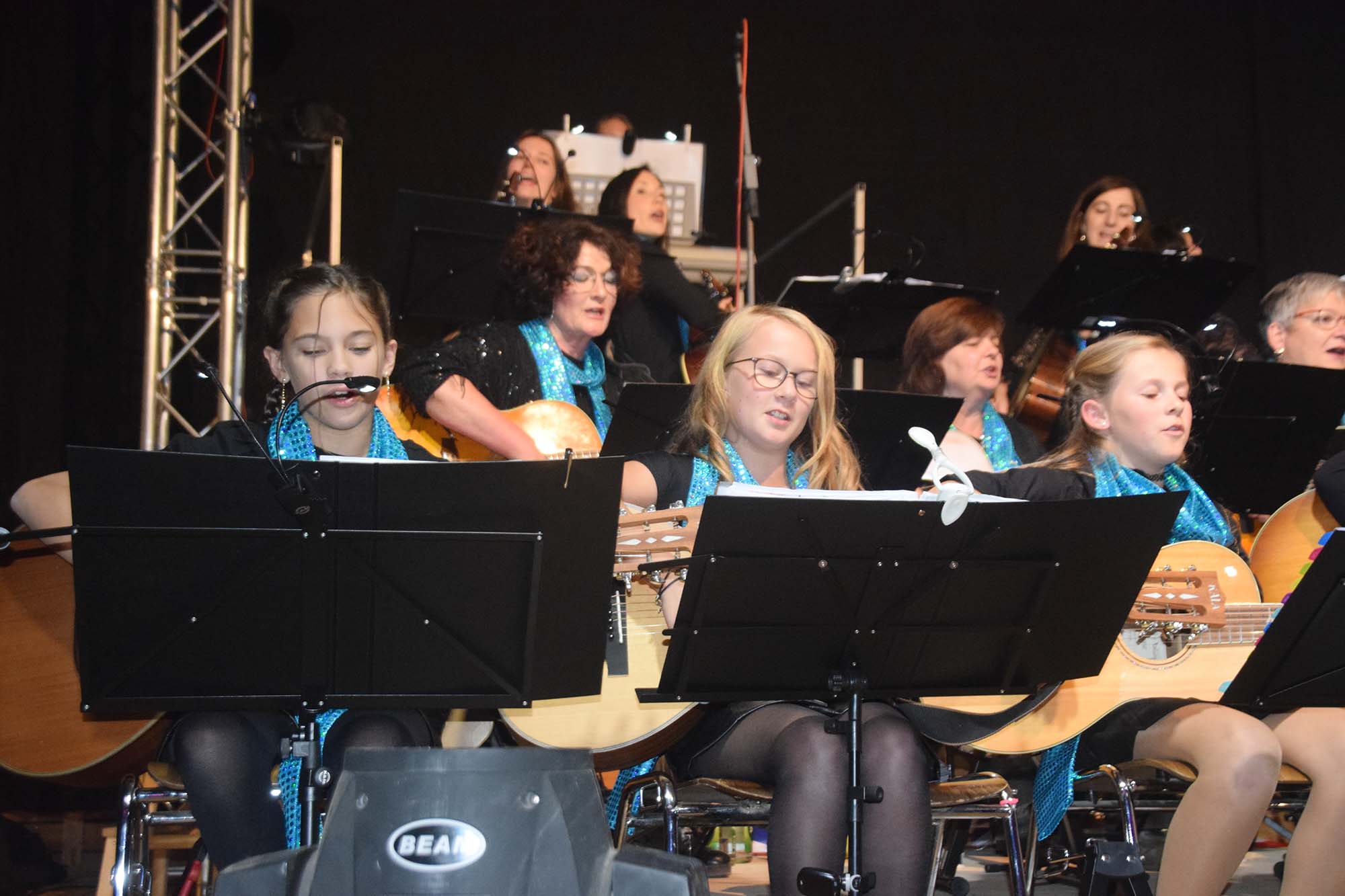 2022-11-7-NO-hv- Jahreskonzert Gitarrenverein DSC_1608