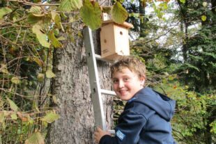 2022-11-7-OH-Franz Huber-SWV-Nistkästen-NK01