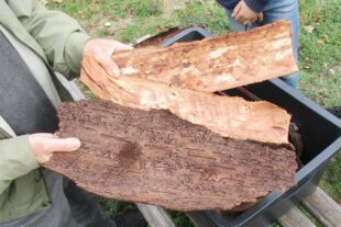 2022-11-7-OH-Franz Huber-SWV-Nistkästen-NK03